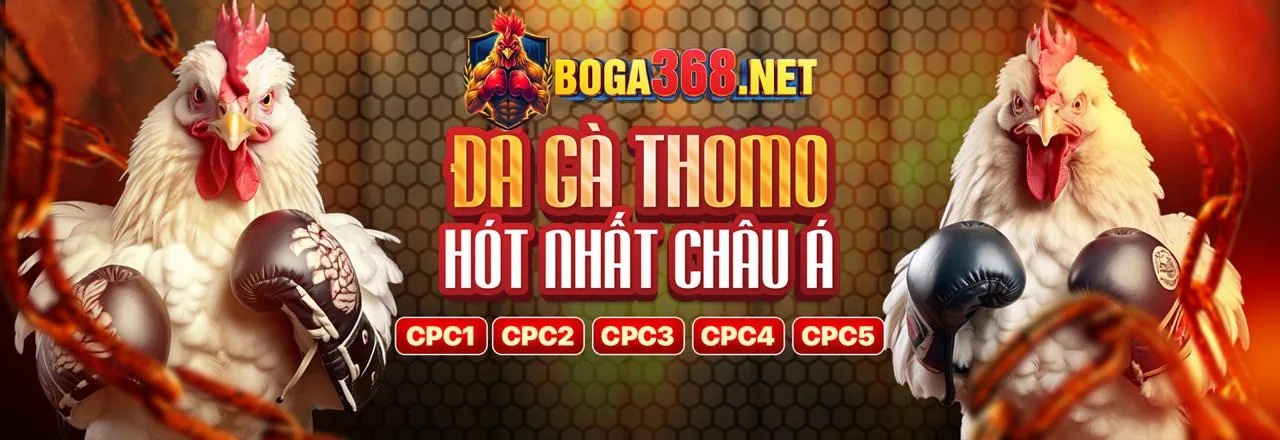 Sân chơi đá gà trực tuyến de88 hiện đang mở